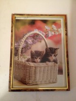 /album/galerie-de-photo14/img-0218-jpg/