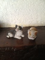 /album/galerie-de-photo14/img-0357-jpg/